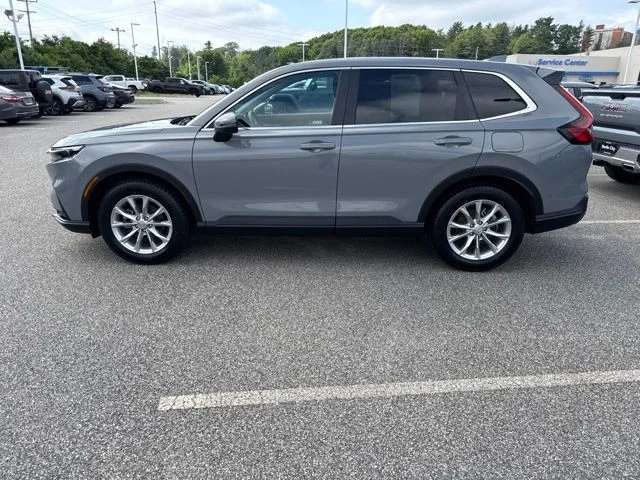 Used 2024 Urban Gray Pearl Honda EX-L image 8