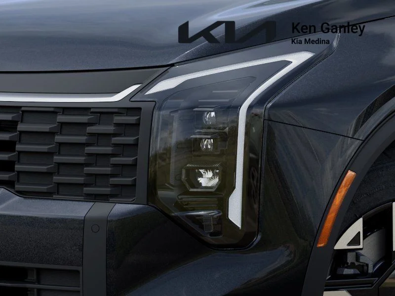 New 2026 Panthera Metal Kia LX image 10
