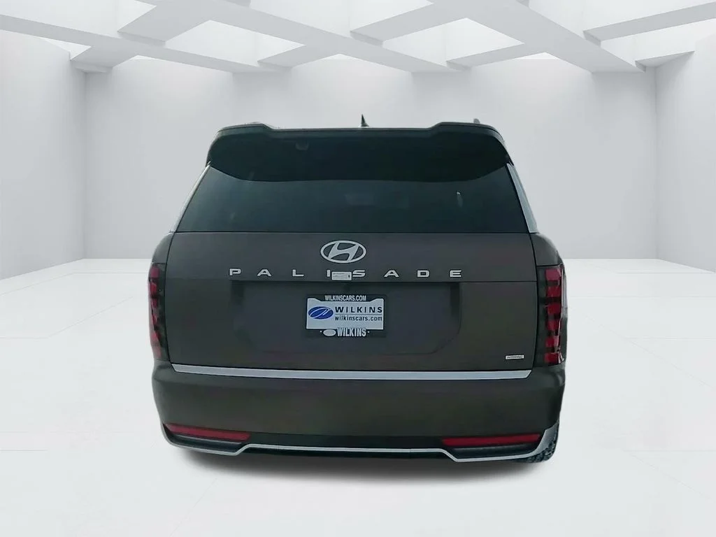 New 2026 Earthy Brass Matte Hyundai Calligraphy image 6