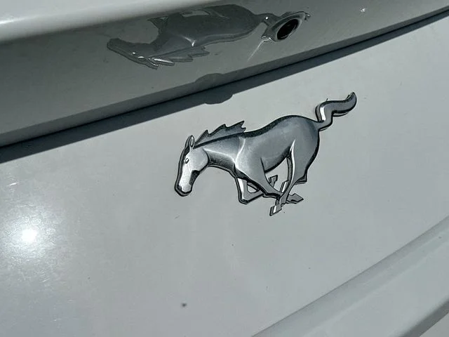 New 2025 Oxford White Ford EcoBoost image 17