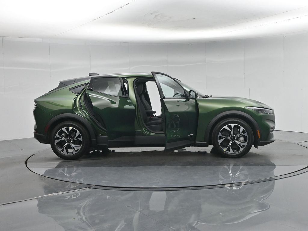 New 2026 Eruption Green Metallic Ford Select image 4