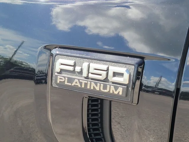 New 2026 Black Metallic Ford Platinum image 9