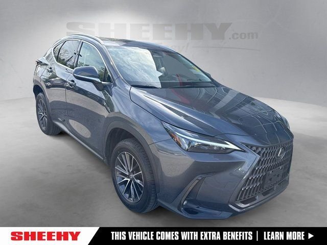 2024 Lexus NX 350 350 Premium AWD's photo