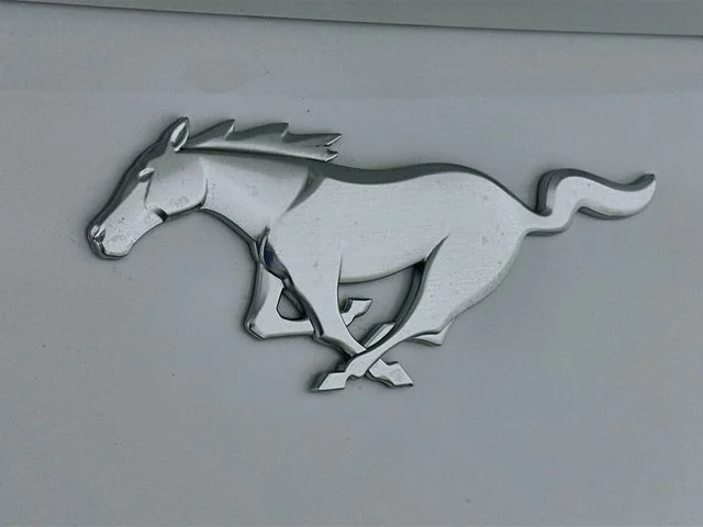 New 2026 White Ford EcoBoost image 21