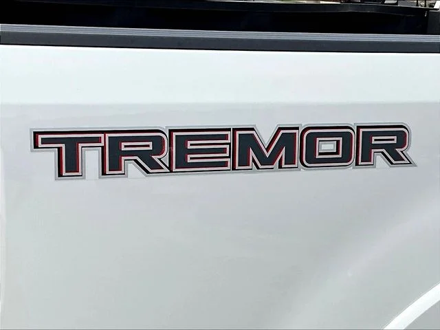 Used 2022 White Ford Platinum image 28