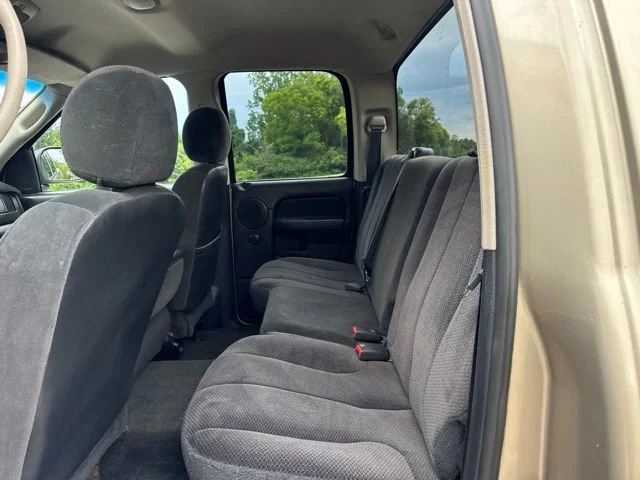 Used 2002 Gold Dodge SLT image 13