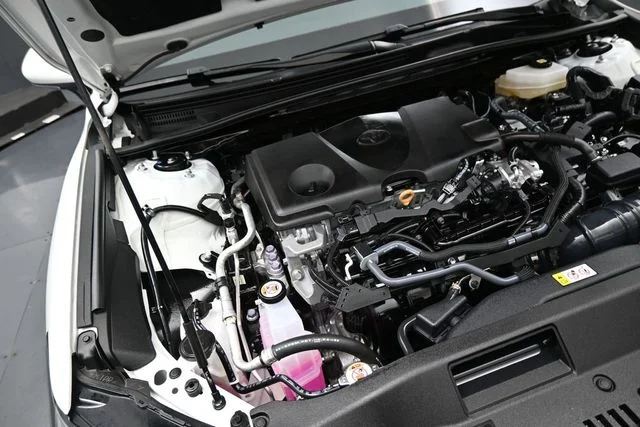 Photo 41