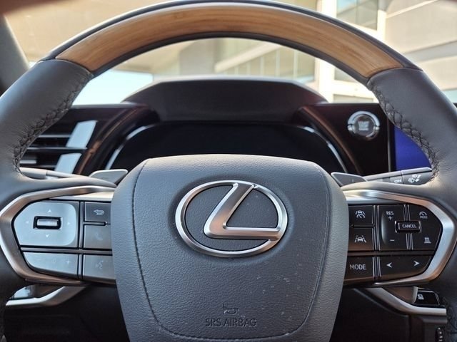 2025 Lexus RX 350 - Photo 31