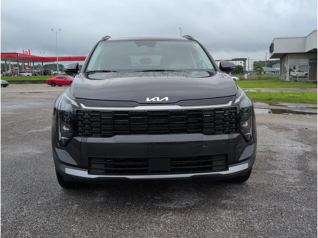 New 2026 Panthera Metal Kia EX image 8