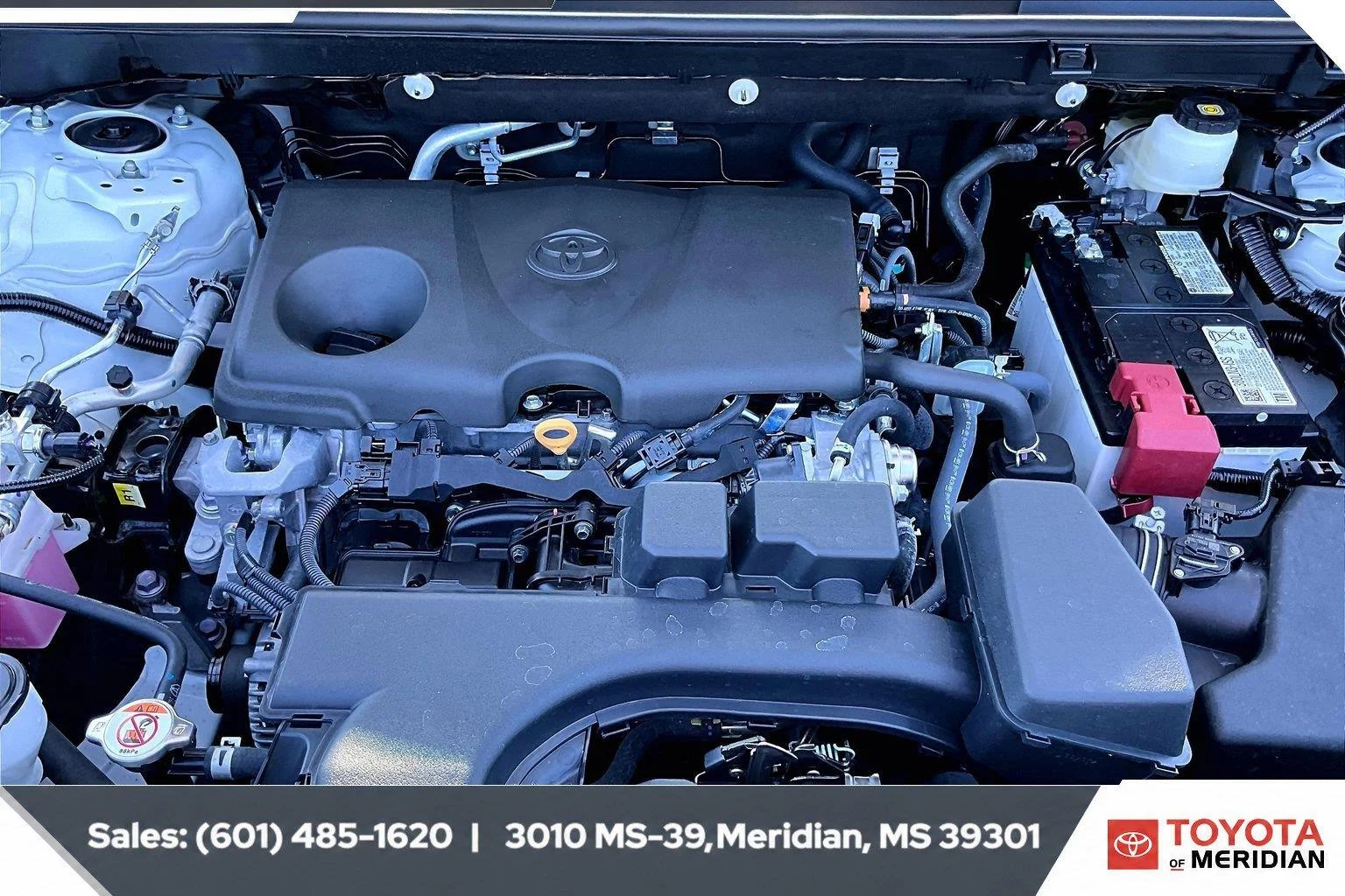 Used 2025 Wind Chill Pearl Toyota XLE Premium image 8