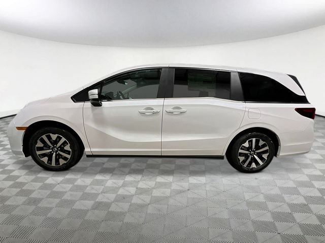 New 2026 Platinum White Pearl Honda EX-L image 2