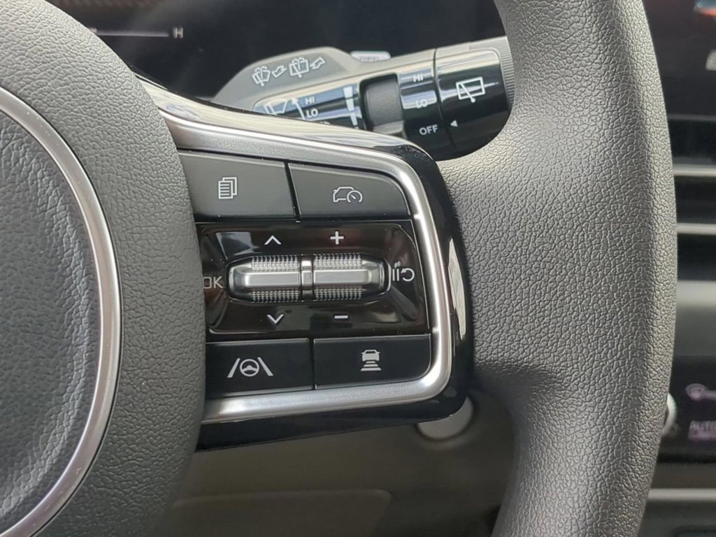 New 2026 Panthera Metal Kia LX image 28