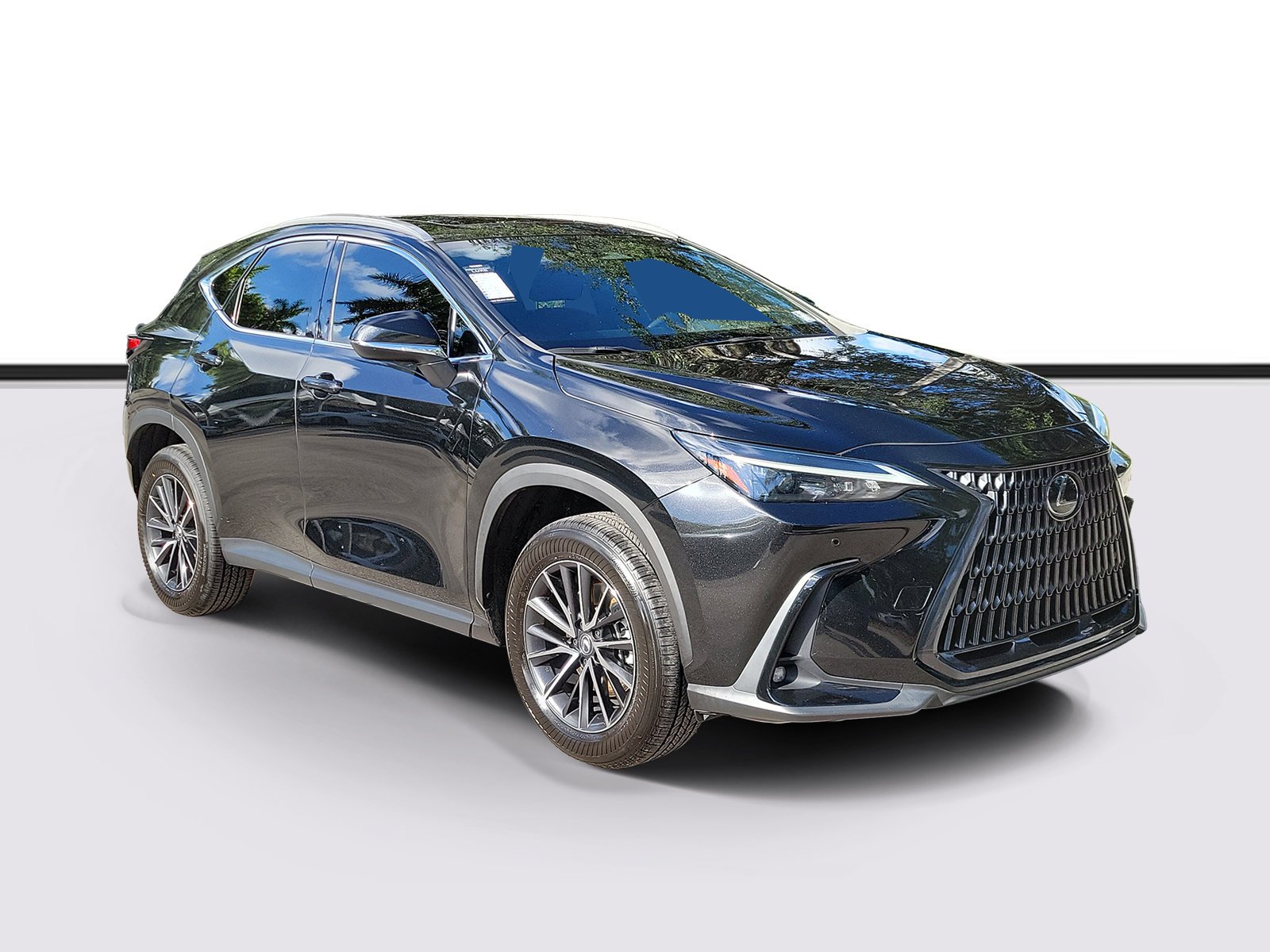 2025 Lexus NX