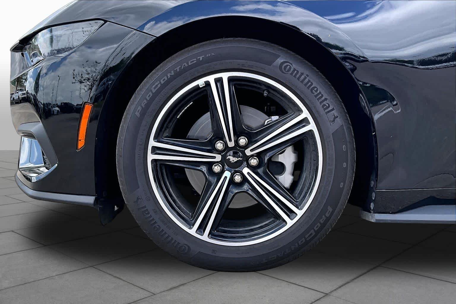Used 2025 Shadow Black Ford EcoBoost Premium image 9