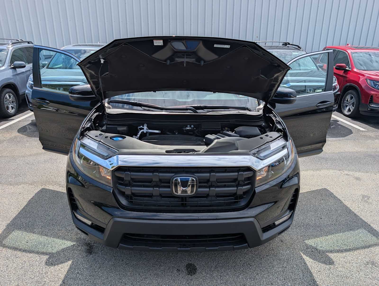 New 2026 Crystal Black Pearl Honda RTL image 11