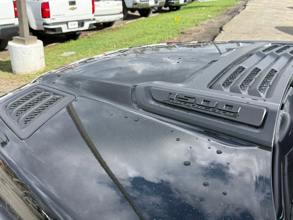 New 2026 Diamond Black Crystal Pearl-Coat Exterior Paint RAM Express image 11