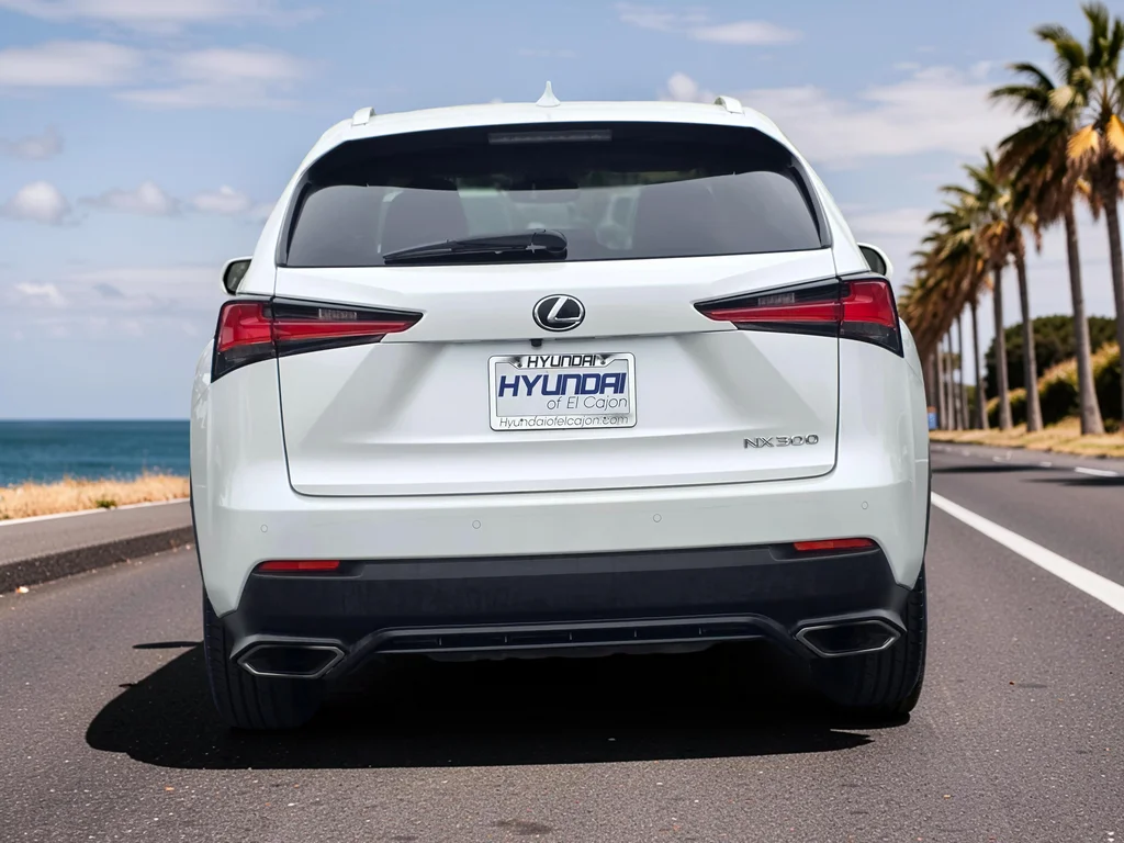 2020 Lexus NX 300 - Photo 6