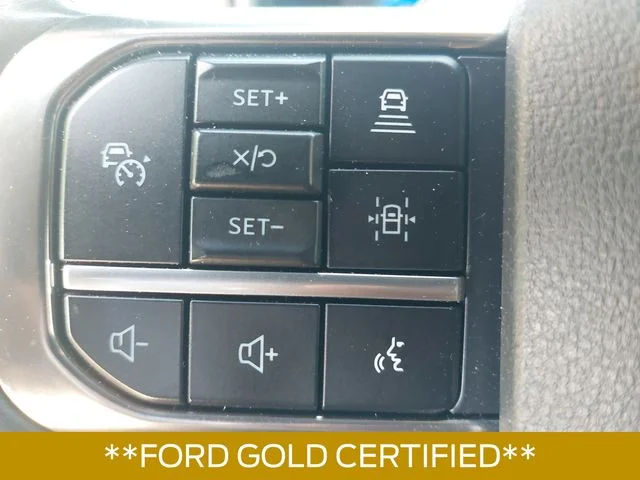 Used 2024 Red Ford Platinum image 17