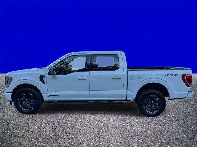 Certified Used 2023 Oxford White Ford XLT image 6