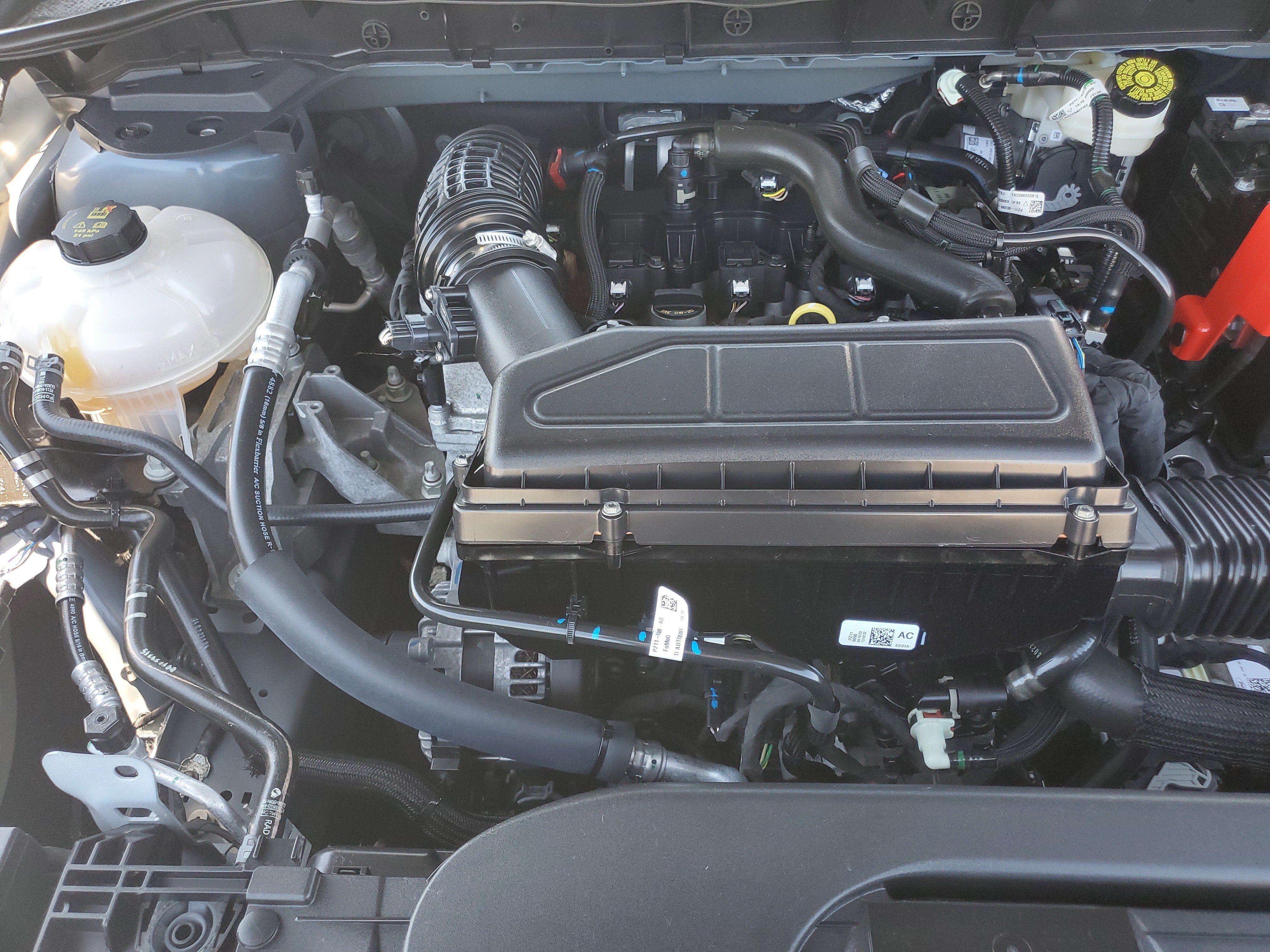 Used 2023 Blue Ford Active image 5
