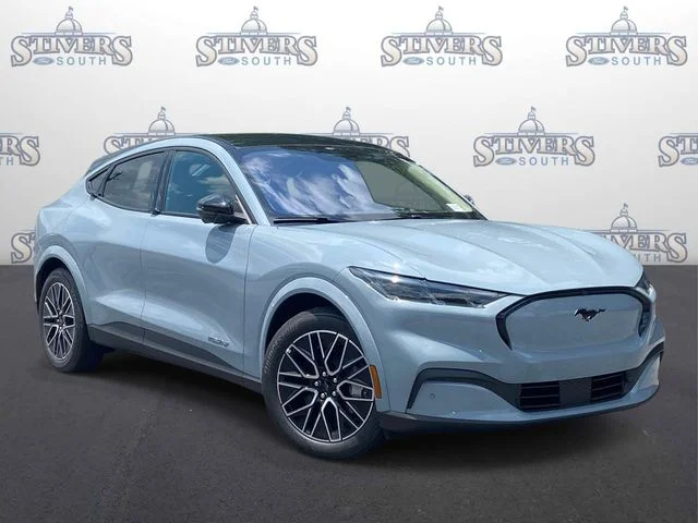 New 2026 Gray Ford Premium image 1