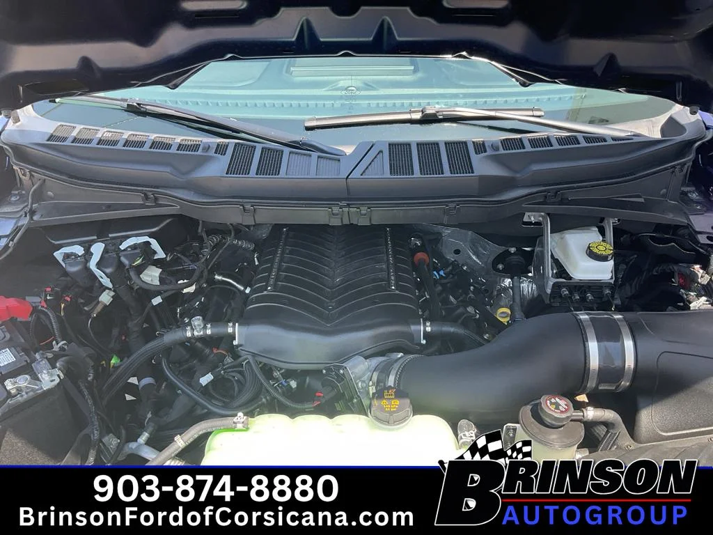 Used 2026 Argon Ford XL image 11