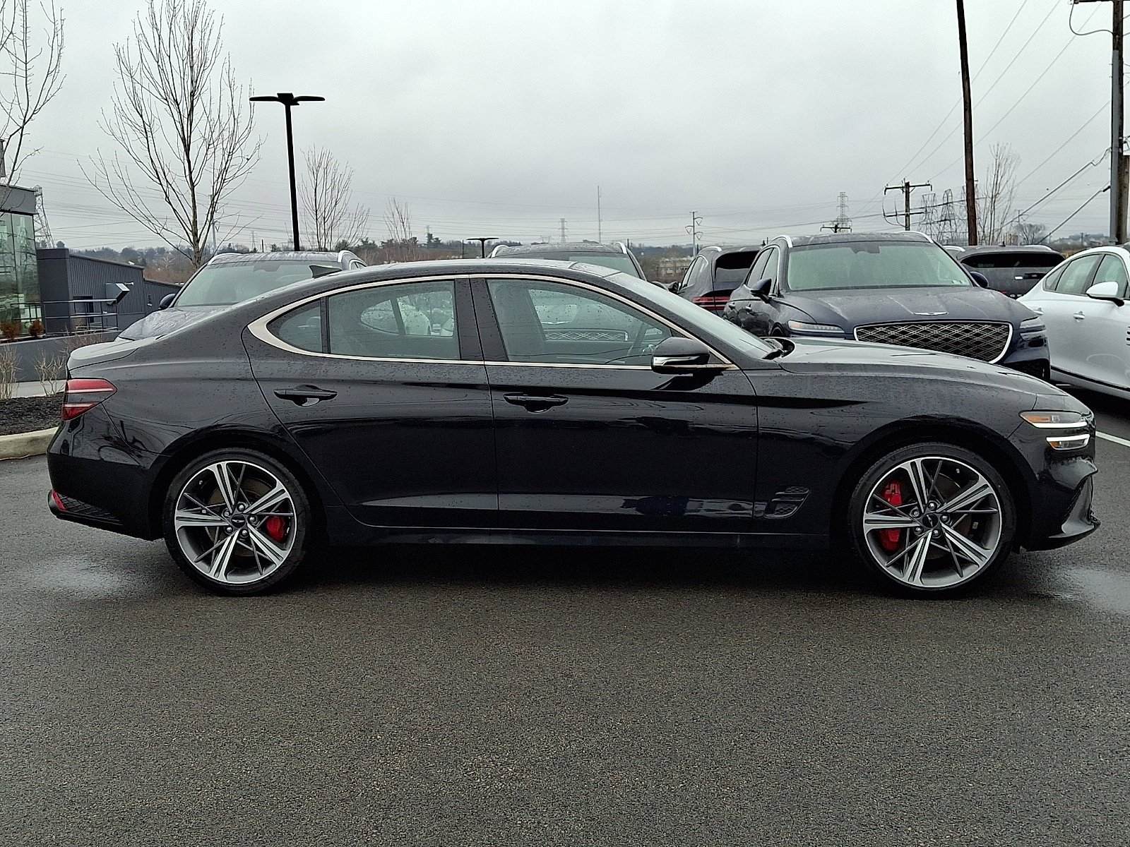 New 2024 Vik Black Genesis 2.5T image 7