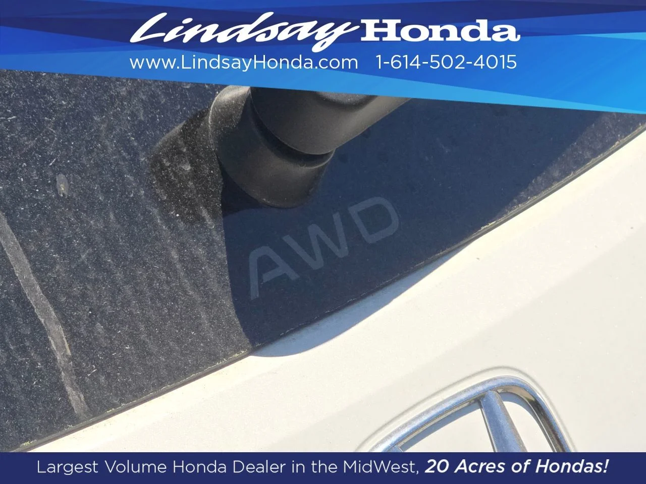 New 2027 Platinum White Pearl Honda LX image 15