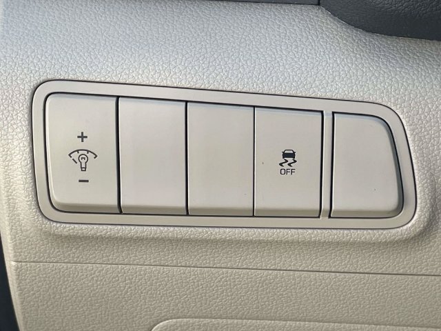 Used 2017 Ruby Hyundai Eco image 17