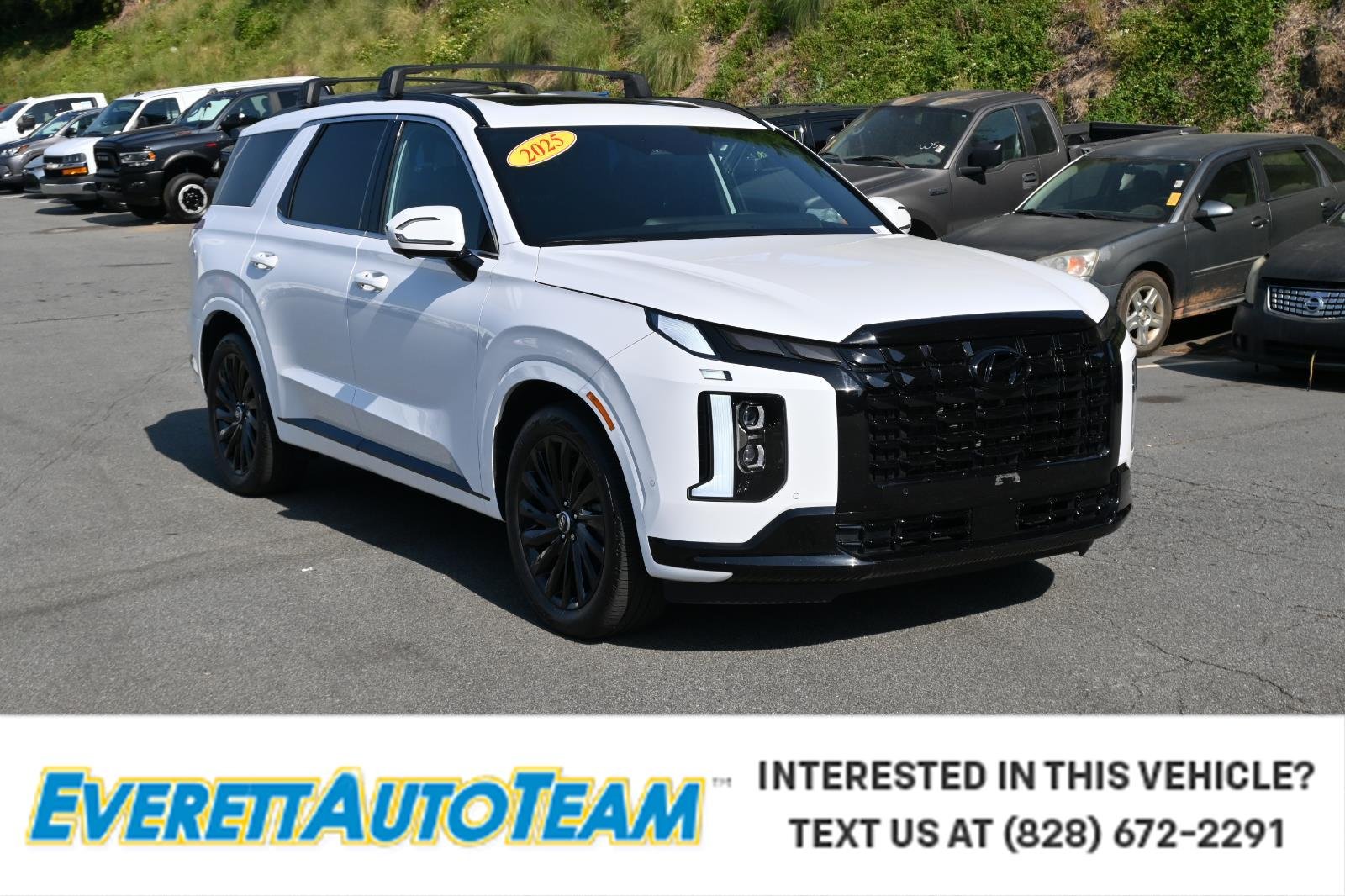 Used 2025 White Hyundai Calligraphy Night Edition image 1