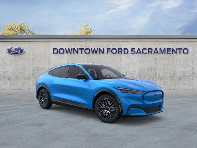 New 2024 Blue Ford Premium image 8