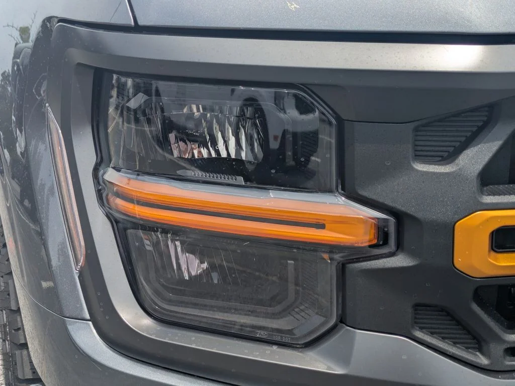 New 2026 Gray Ford Tremor image 9