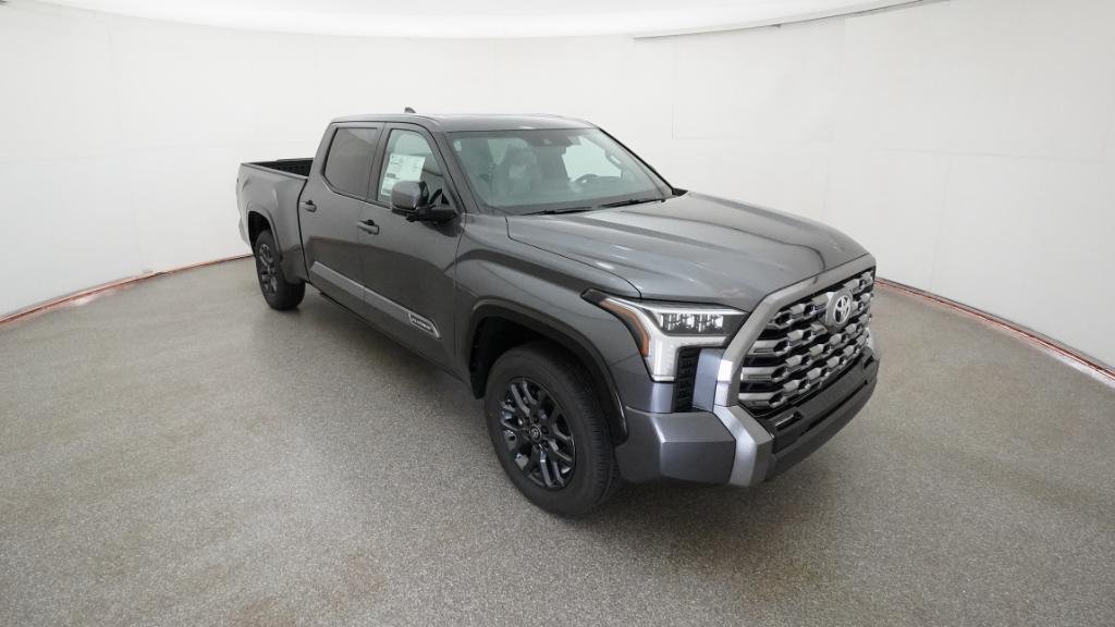 New 2026 Magnetic Gray Metallic Toyota Platinum image 11