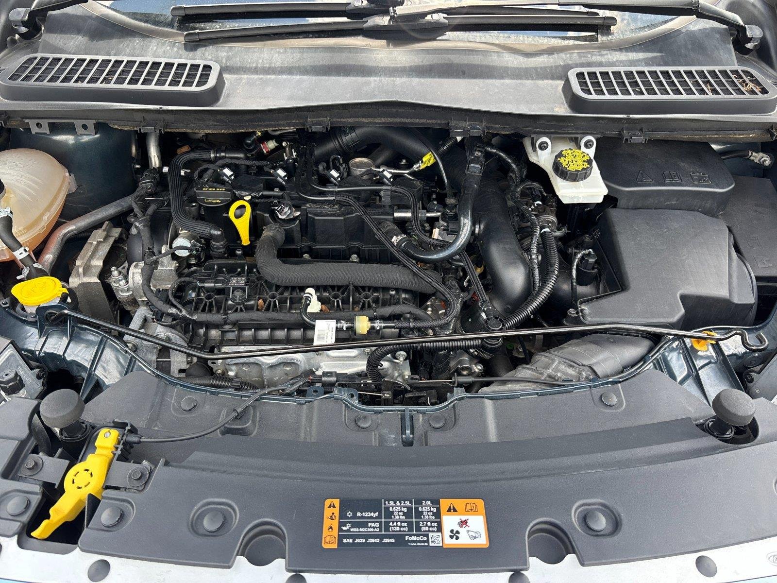 Used 2019  Ford SEL image 9