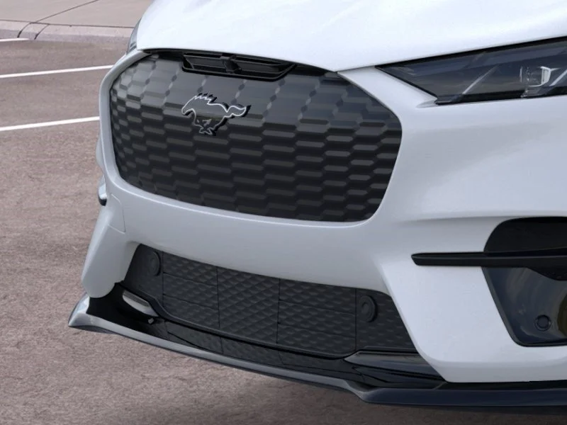2025 Ford Mustang Mach-E GT - Photo 17
