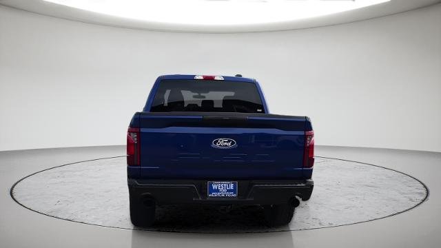 New 2026 Argon Blue Metallic Ford STX® image 30