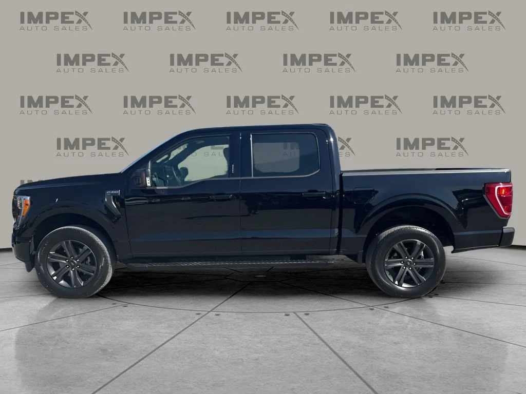 Used 2023 Black Ford XLT image 2