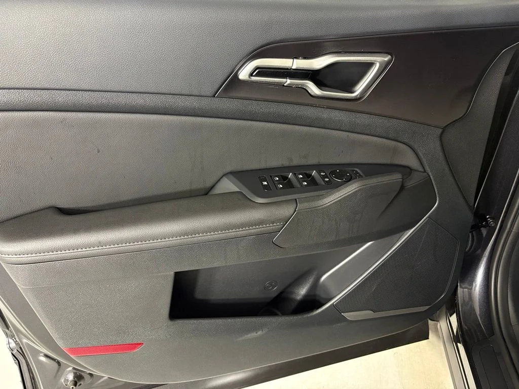 New 2026 Panthera Metal Kia EX image 14