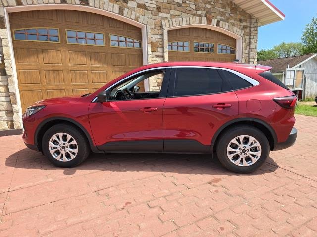 Used 2023 Red FORD ACTIVE image 6