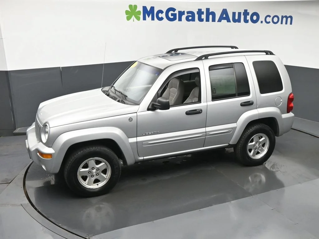 Used 2002 Silver Jeep Limited image 23