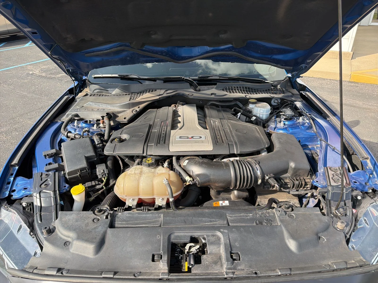 Used 2018 Blue Ford GT Premium image 11