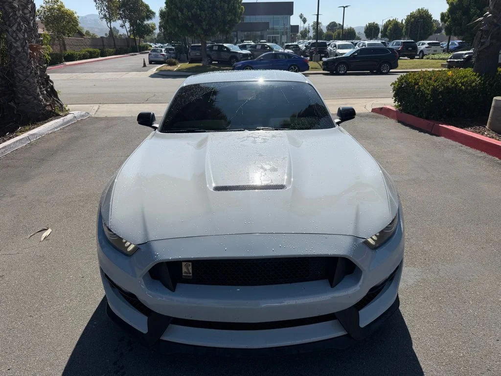 Used 2017 White Ford Shelby GT350 image 2