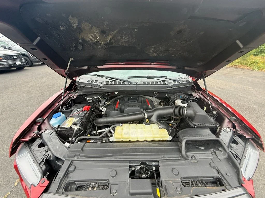 Used 2020 Red Ford Raptor image 21