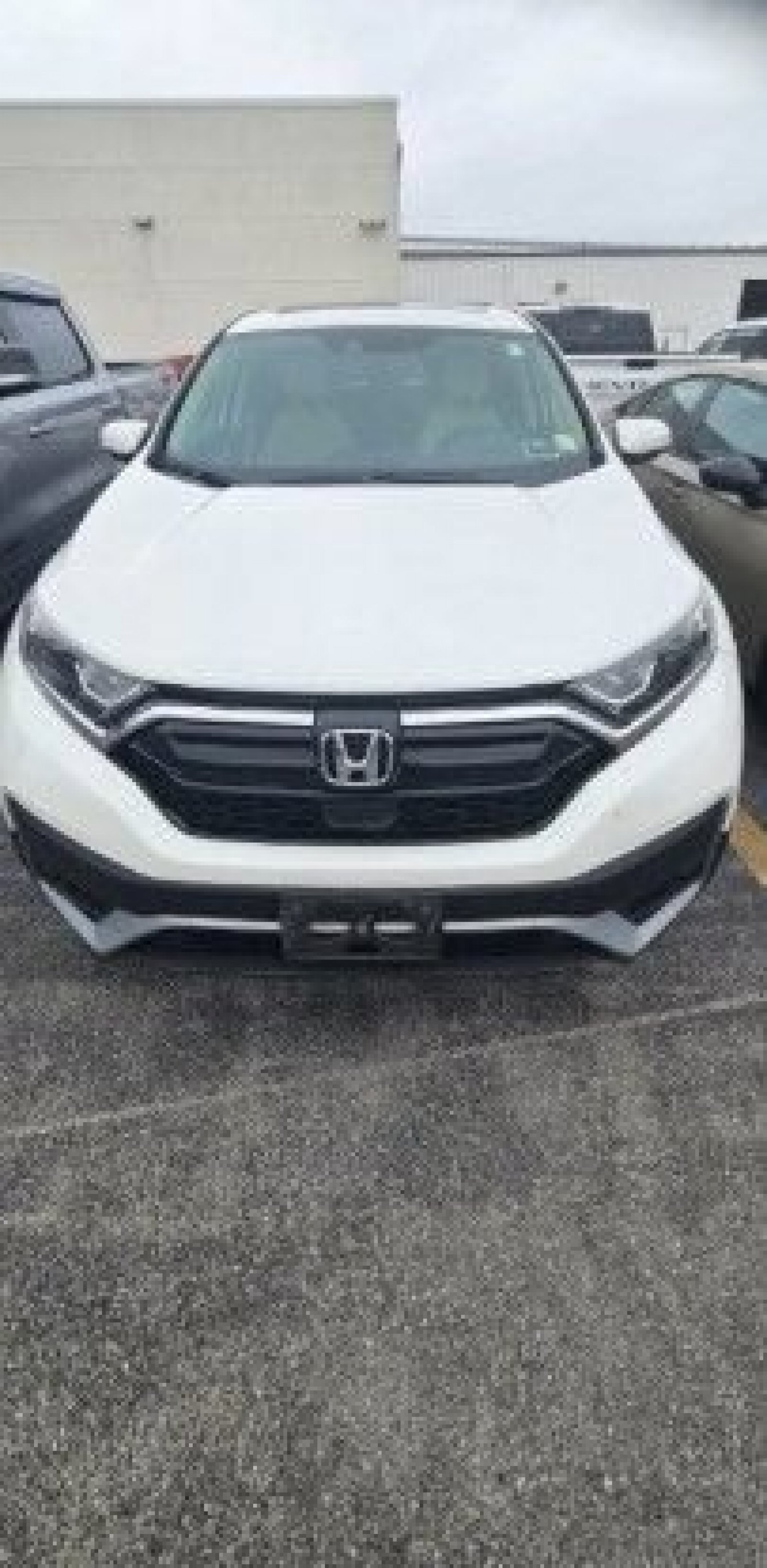 Used 2021 Platinum White Pearl Honda EX-L image 2