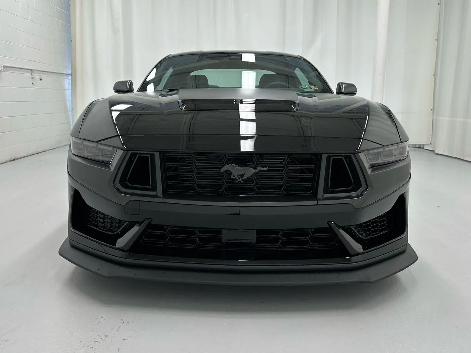 Used 2024 Shadow Black Ford Dark Horse image 5