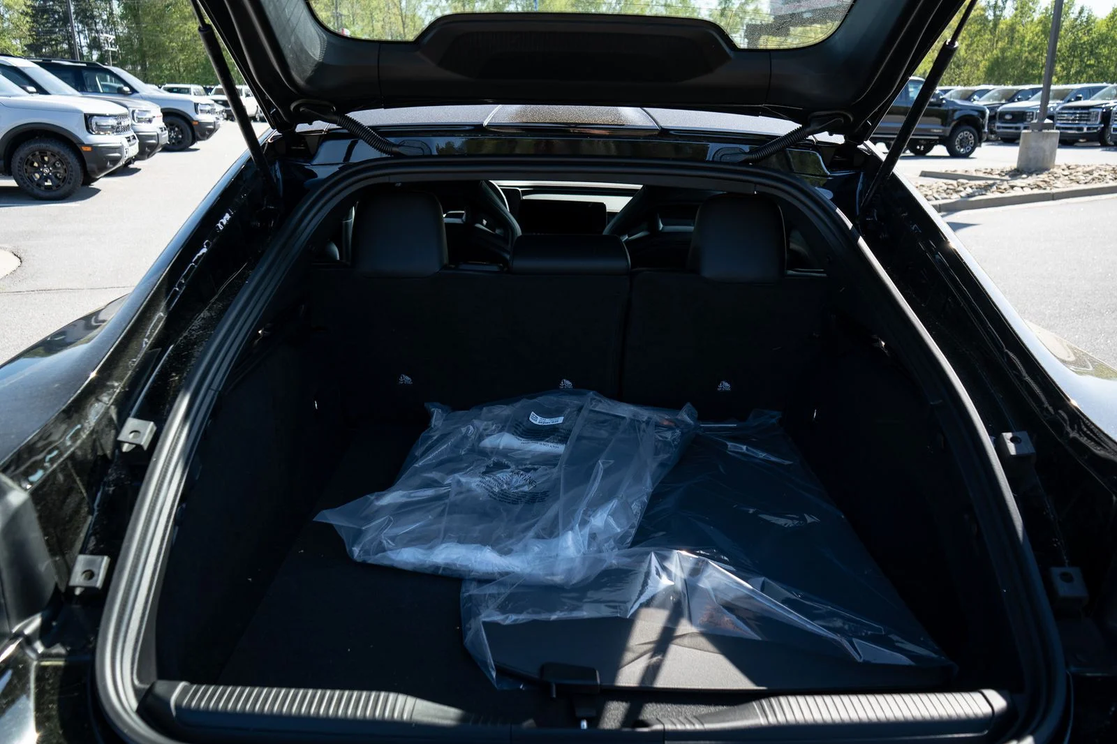 New 2026 Diamond Black Crystal Pearlcoat Dodge R/T image 19
