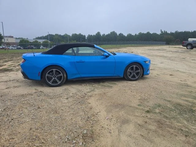 Used 2024 Blue Ford EcoBoost Premium image 12