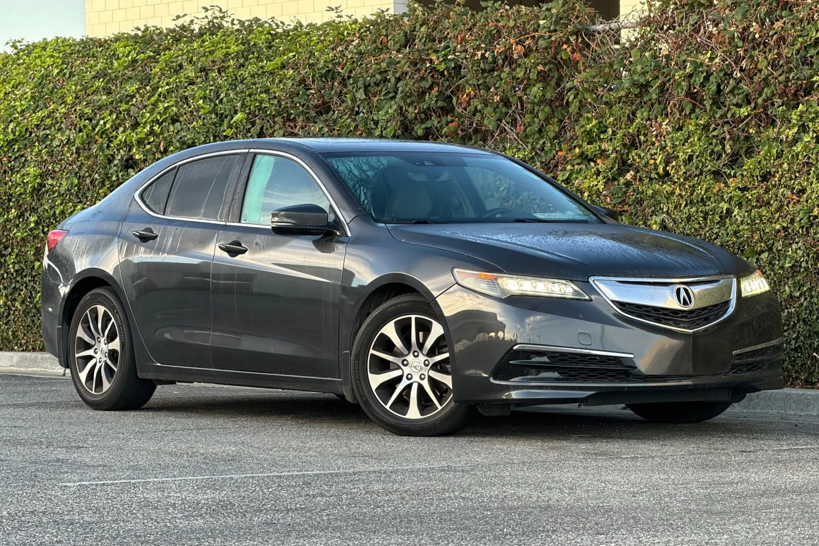 Used 2016 Blue Acura Tech image 2
