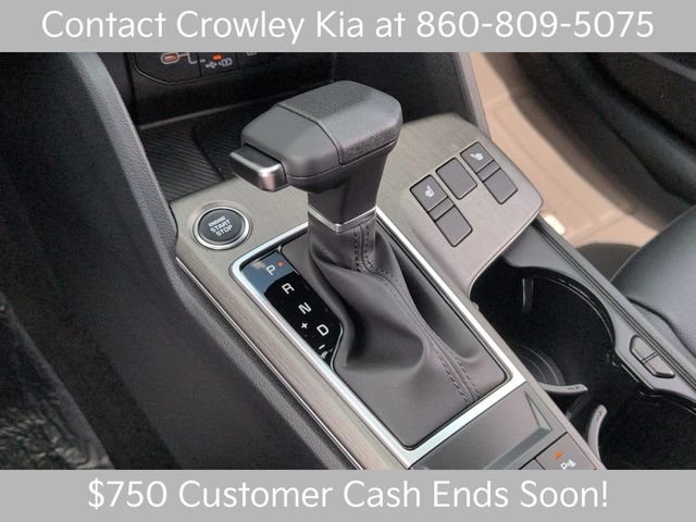 New 2026 Panthera Metal Kia X-Line image 19