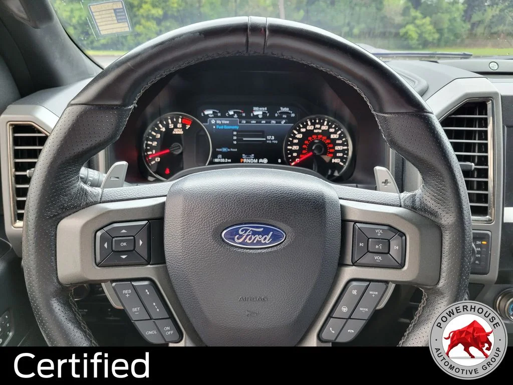 Used 2019 Black Ford Raptor image 33